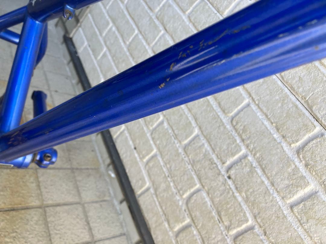 Sunday! GARY YOUNG EX BMX フレームセット 青 20