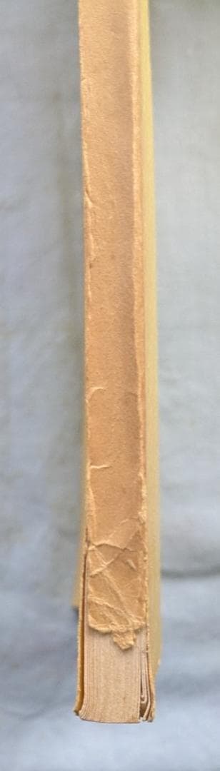 【かぐー】　野口晴哉　愉気法講座（144）