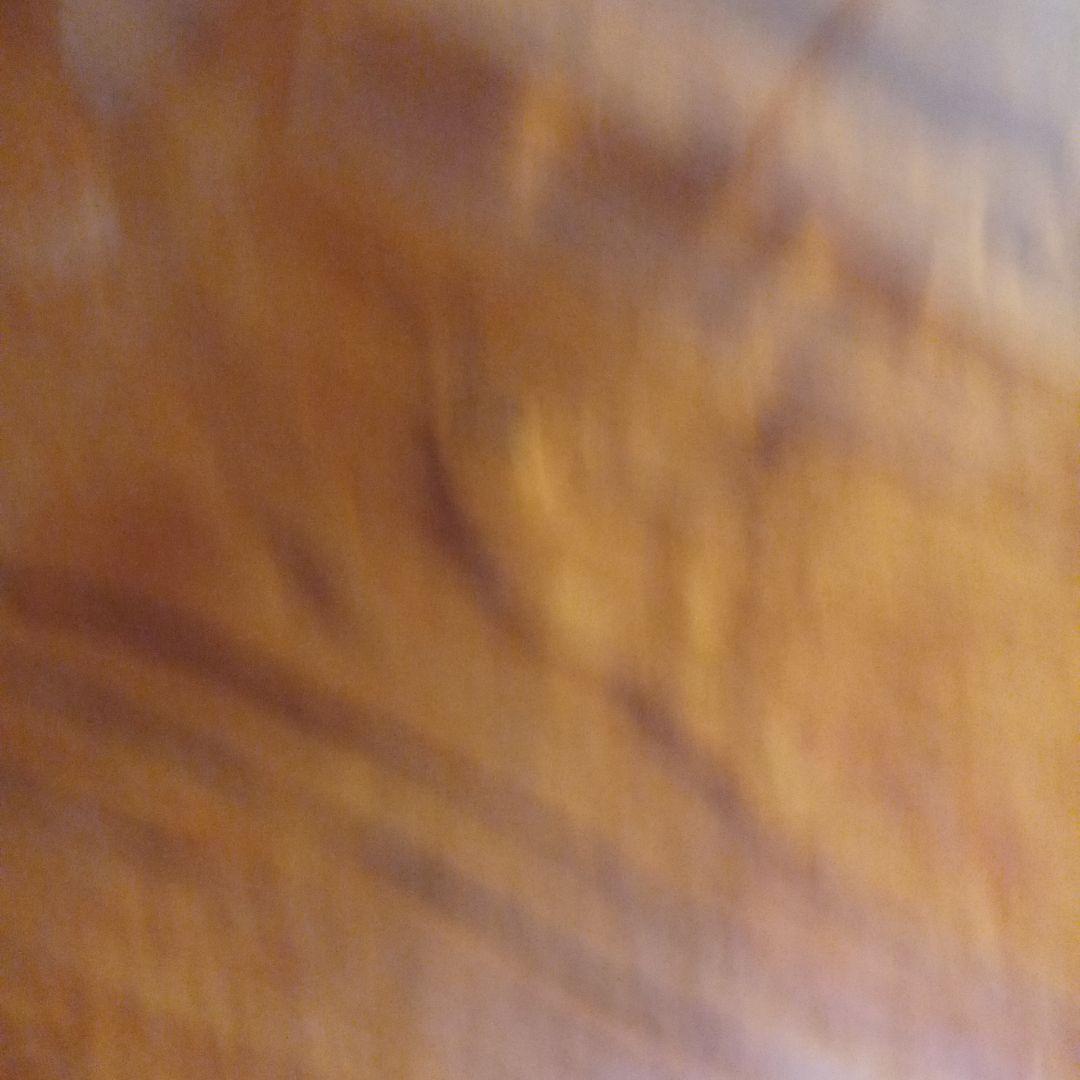 サンリオSF文庫8冊セットです。