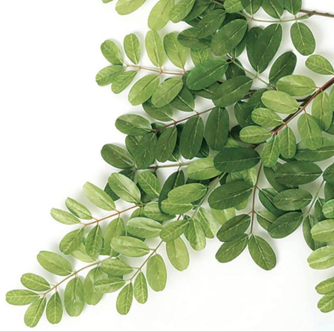 光触媒　人工観葉植物　ウォールグリーン　フェイクグリーン　アカシアコアッド
