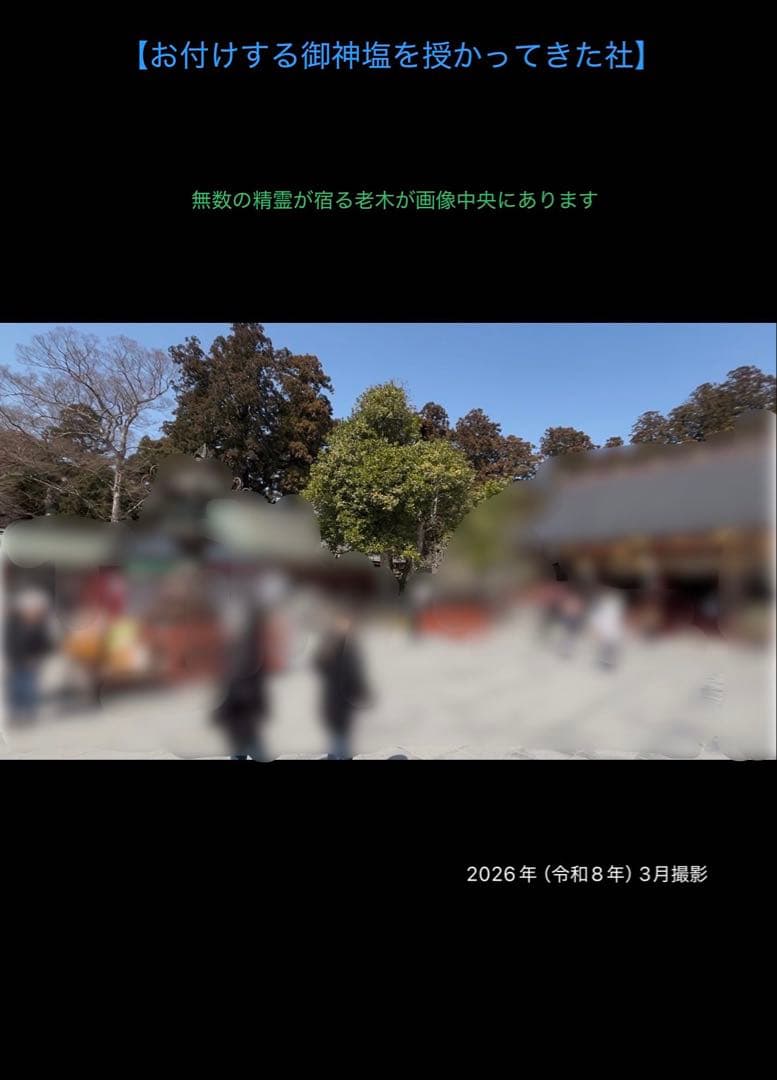 ★★★ 霊石 ★★★　紅朱砂　九眼天珠　ブレスレット / 腕念珠