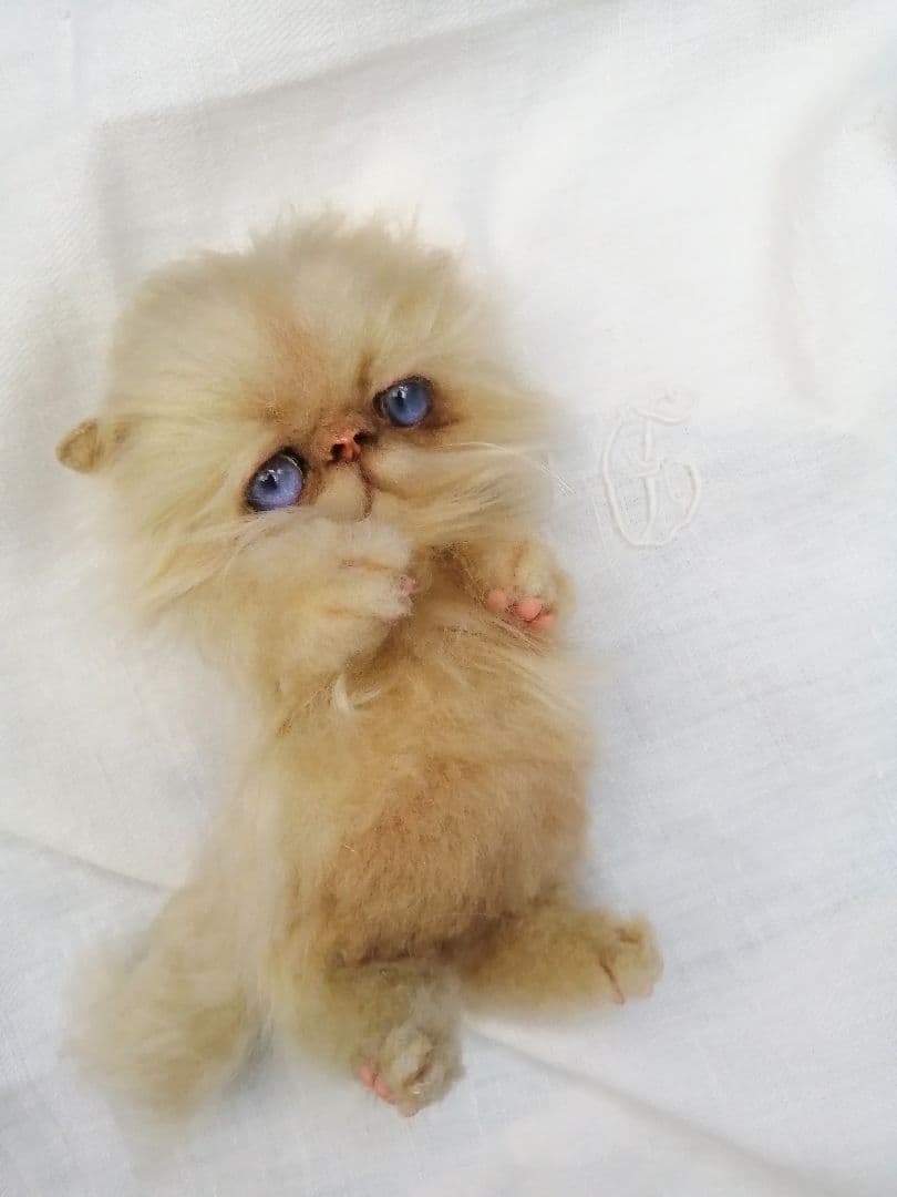 子猫ちゃん♡エキゾチックベビー♡お腹ぽっこり♡アートドール♡ぬいぐるみ♡