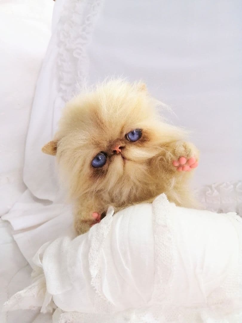 子猫ちゃん♡エキゾチックベビー♡お腹ぽっこり♡アートドール♡ぬいぐるみ♡