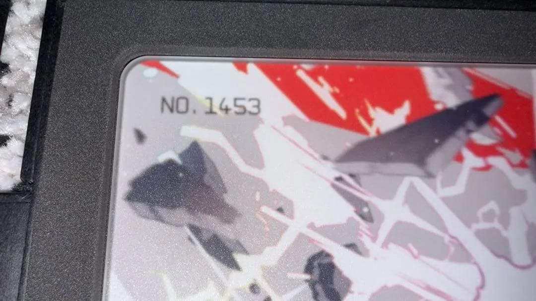 24日までの出品　wallhack sp-004 future fall