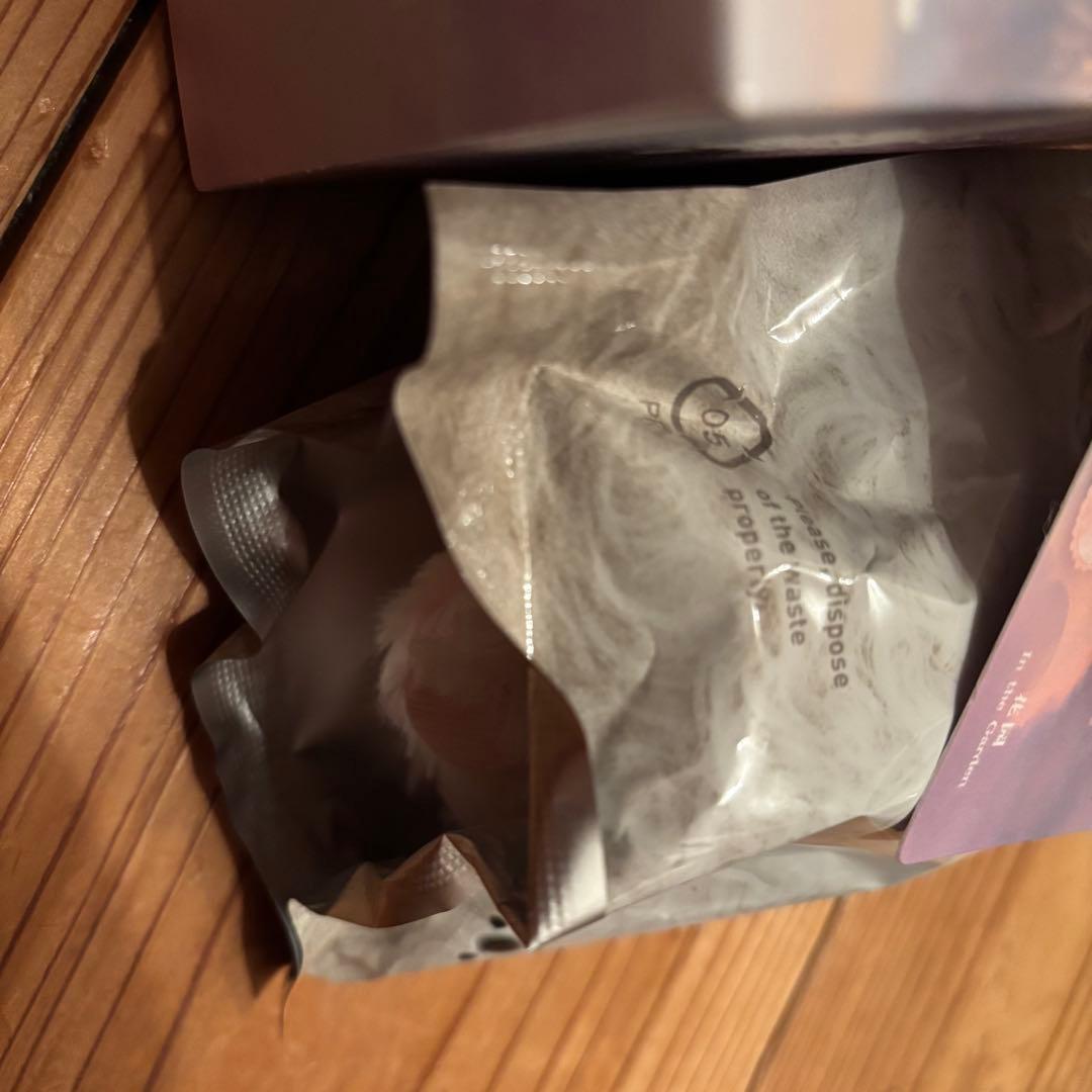 【strawberry ページ】SKULLPANDA シークレット