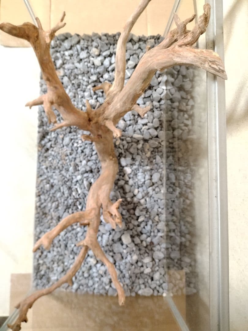 流木・ΝΟA29　春まで休みます