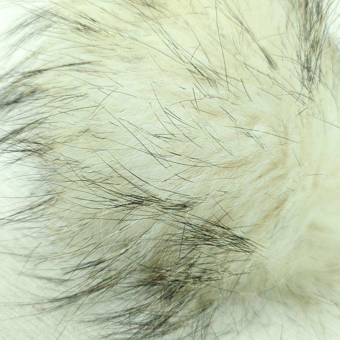 フェンディ バッグバグズ バッグチャーム キーホルダー Punchy イタリア製