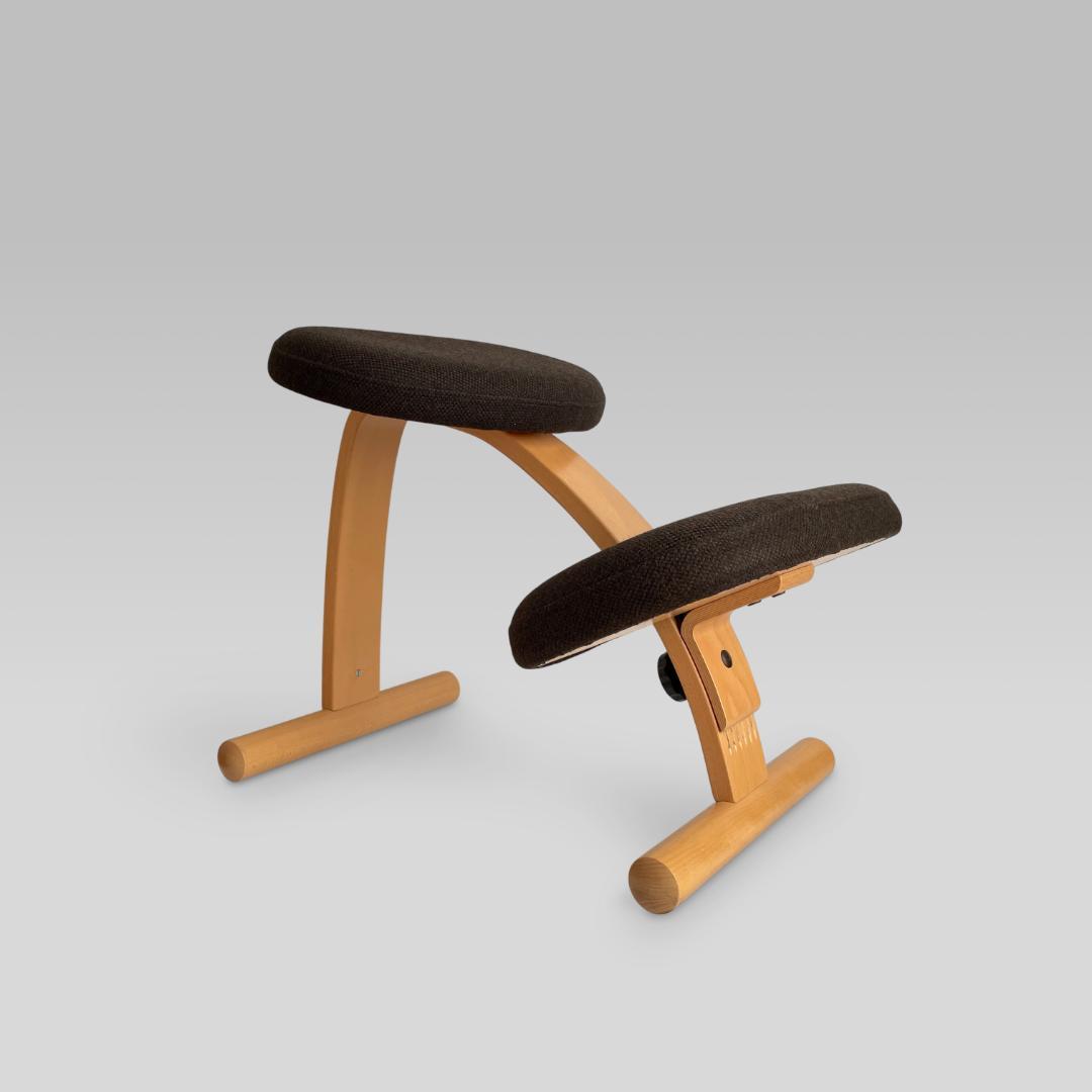 【Rybo】リボ社 balans Easy バランスイージー バランスチェア