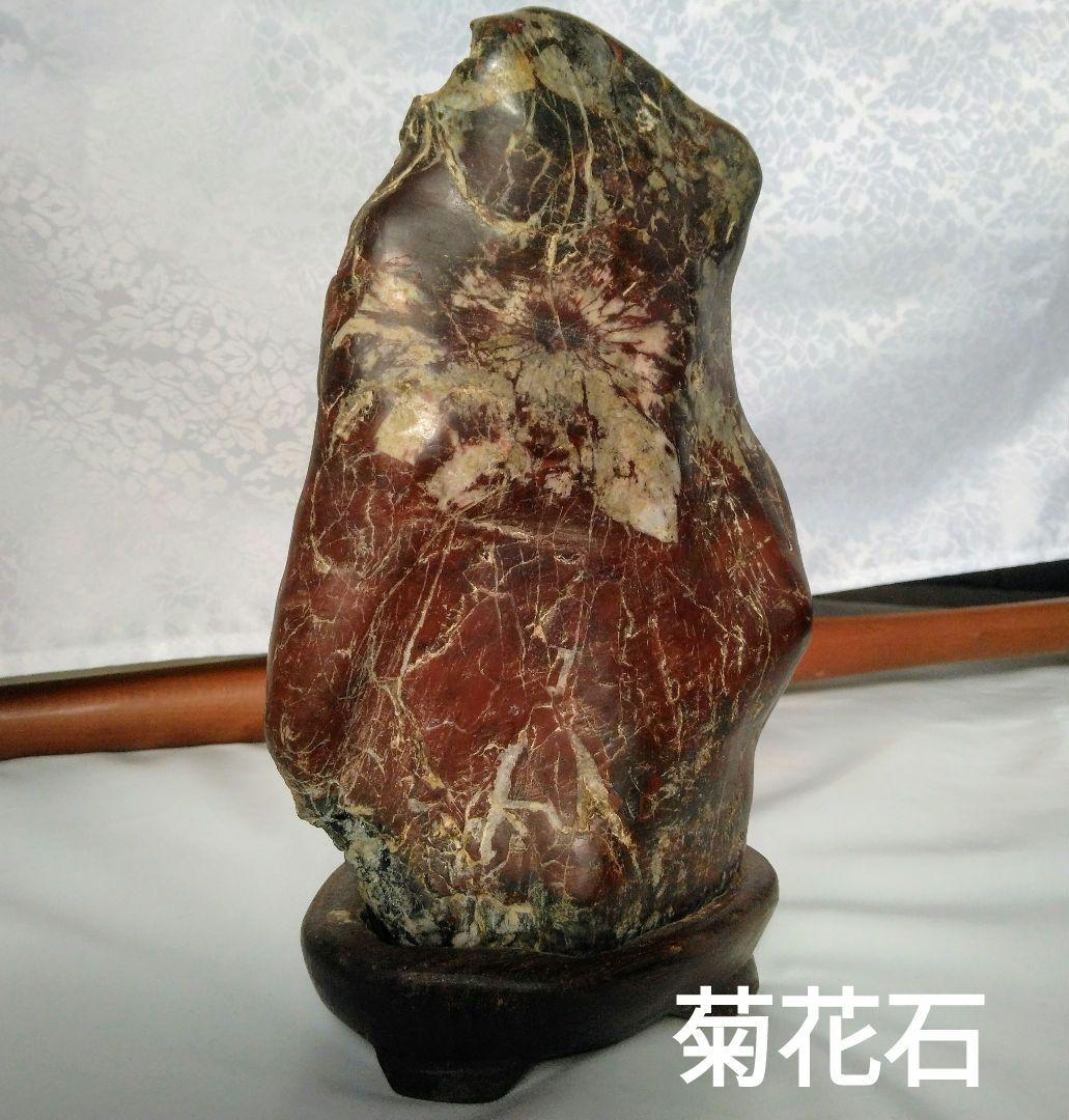 ☆菊花石☆観賞石☆置物