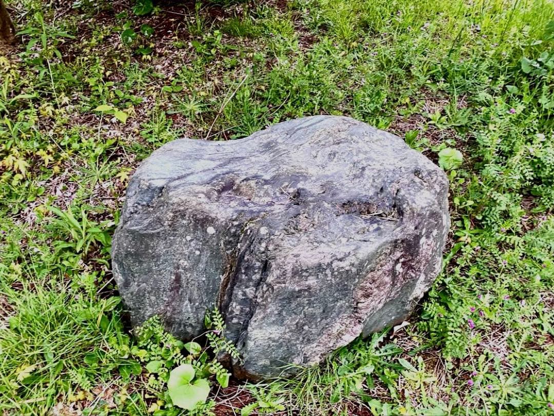 庭石 大 約90×50×45㎝ まとめ割