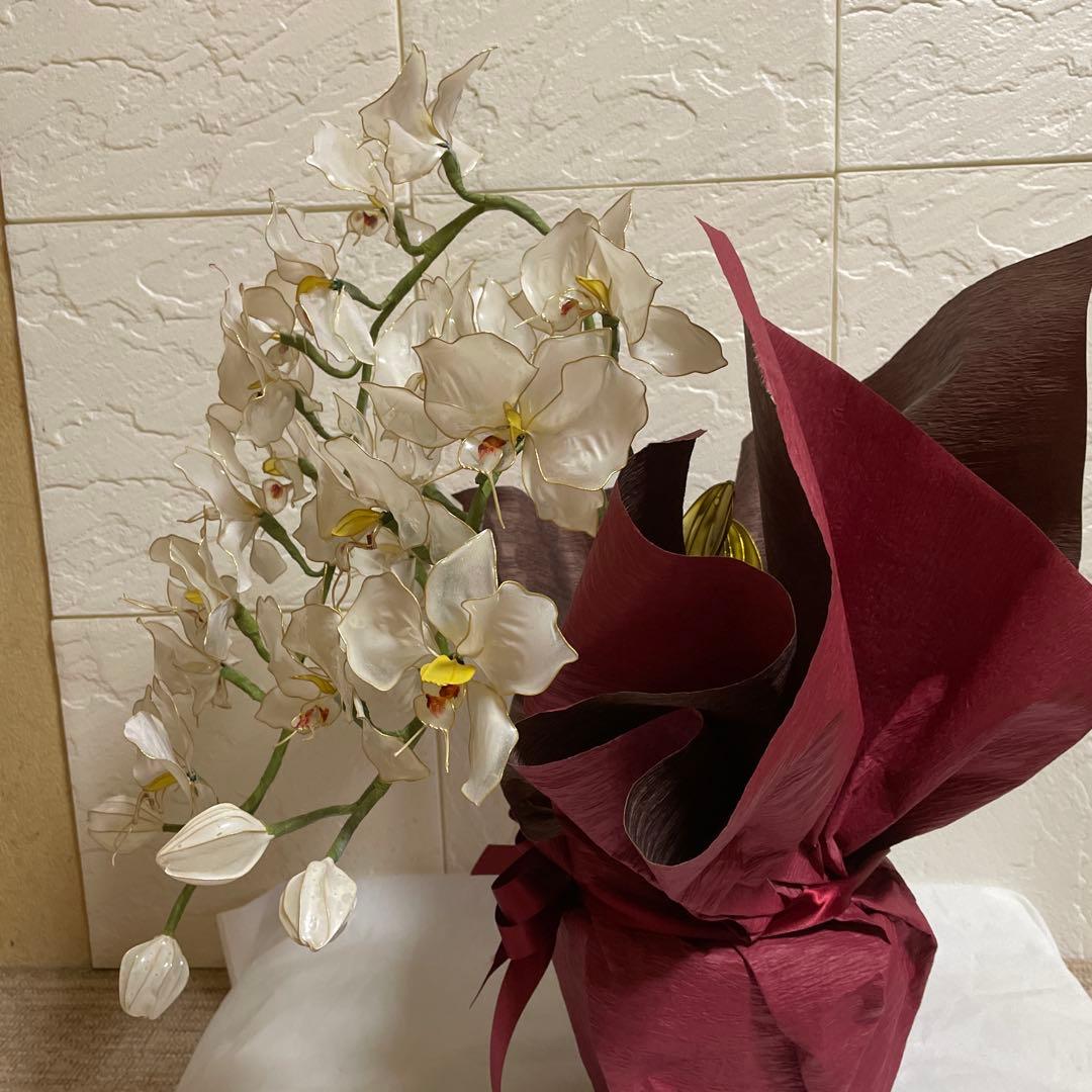 か*か様 胡蝶蘭(琴！)