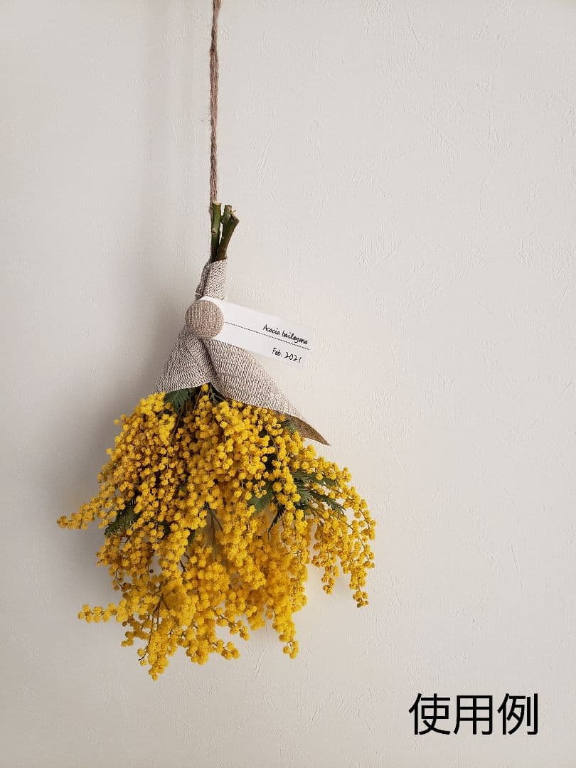 ＊ミモザ生花＊　ご相談窓口〈2026年〉