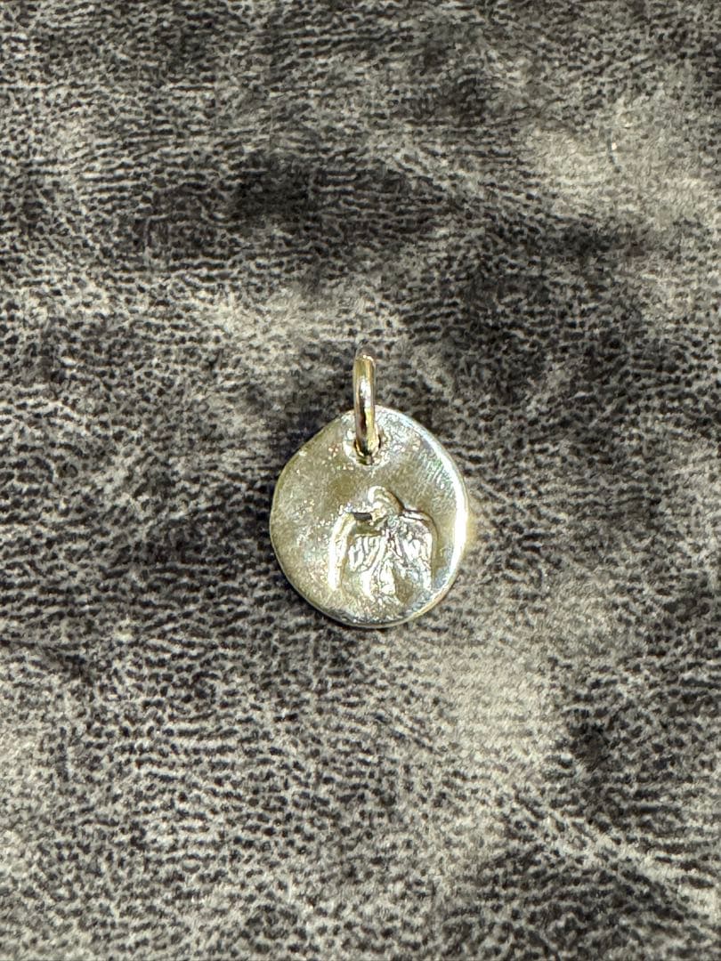 nabe753　ゴローズ/イーグルイン太陽/太陽インメタル/大/L