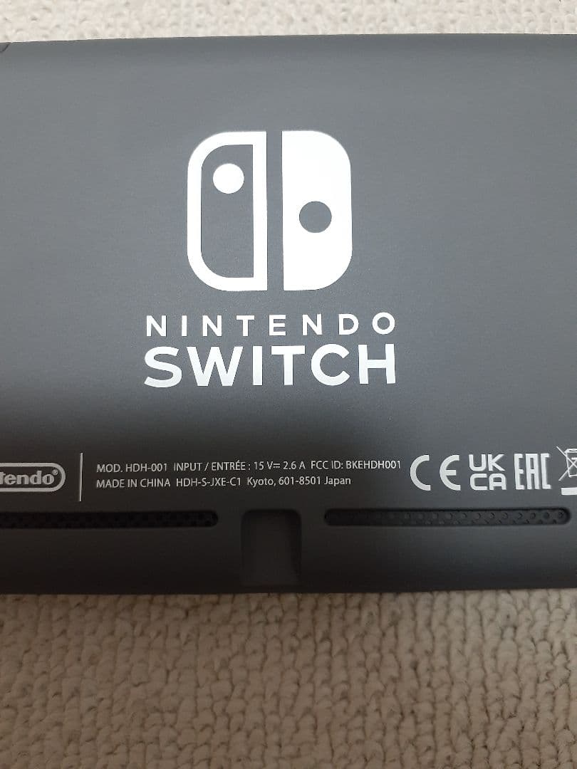 Nintendo Switch Lite グレー 2023年
