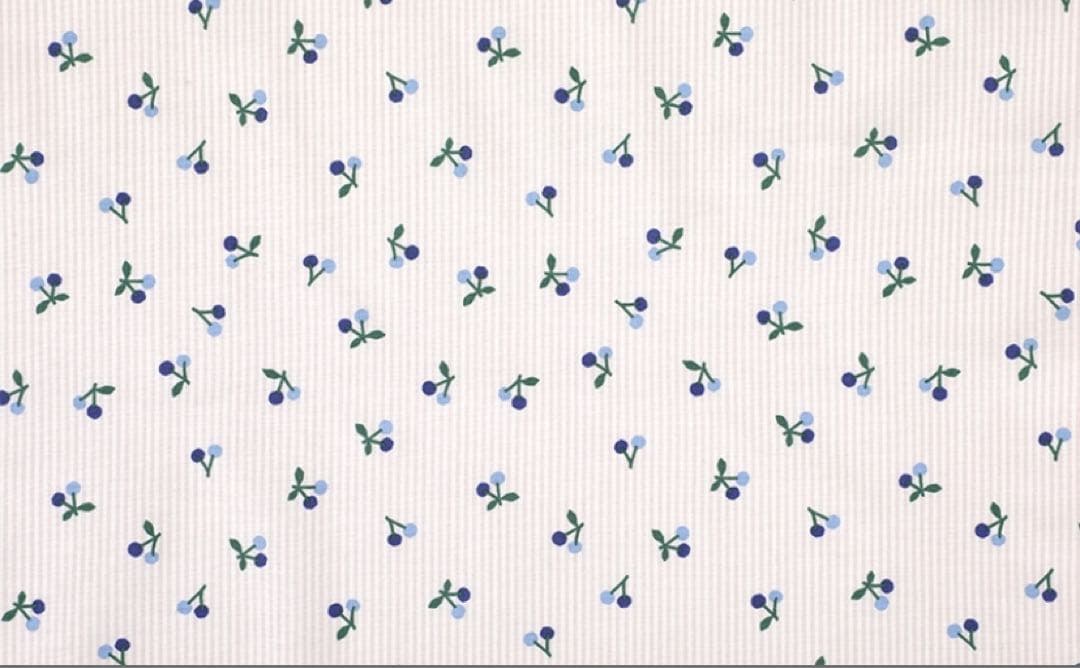 ペッピーキッズクラブ　モラモラケース　ハンドメイド