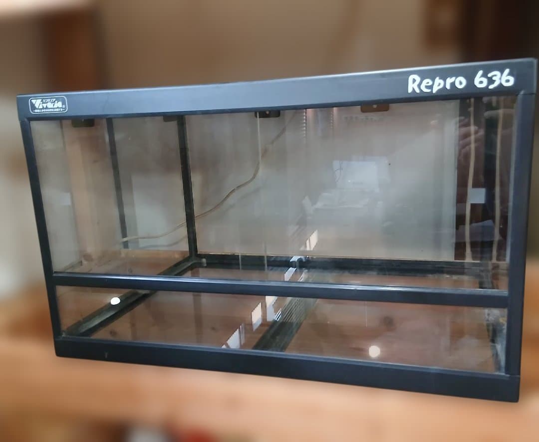 Repro 636 ガラスケージ 60×45×36 発送OK