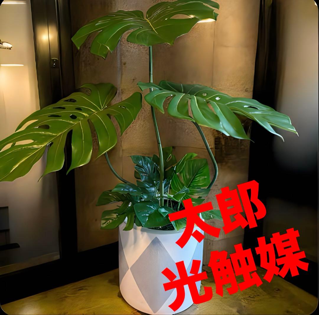 光触媒　人工観葉植物　ウォールグリーン　フェイクグリーン　バリ風特大モンステラ8