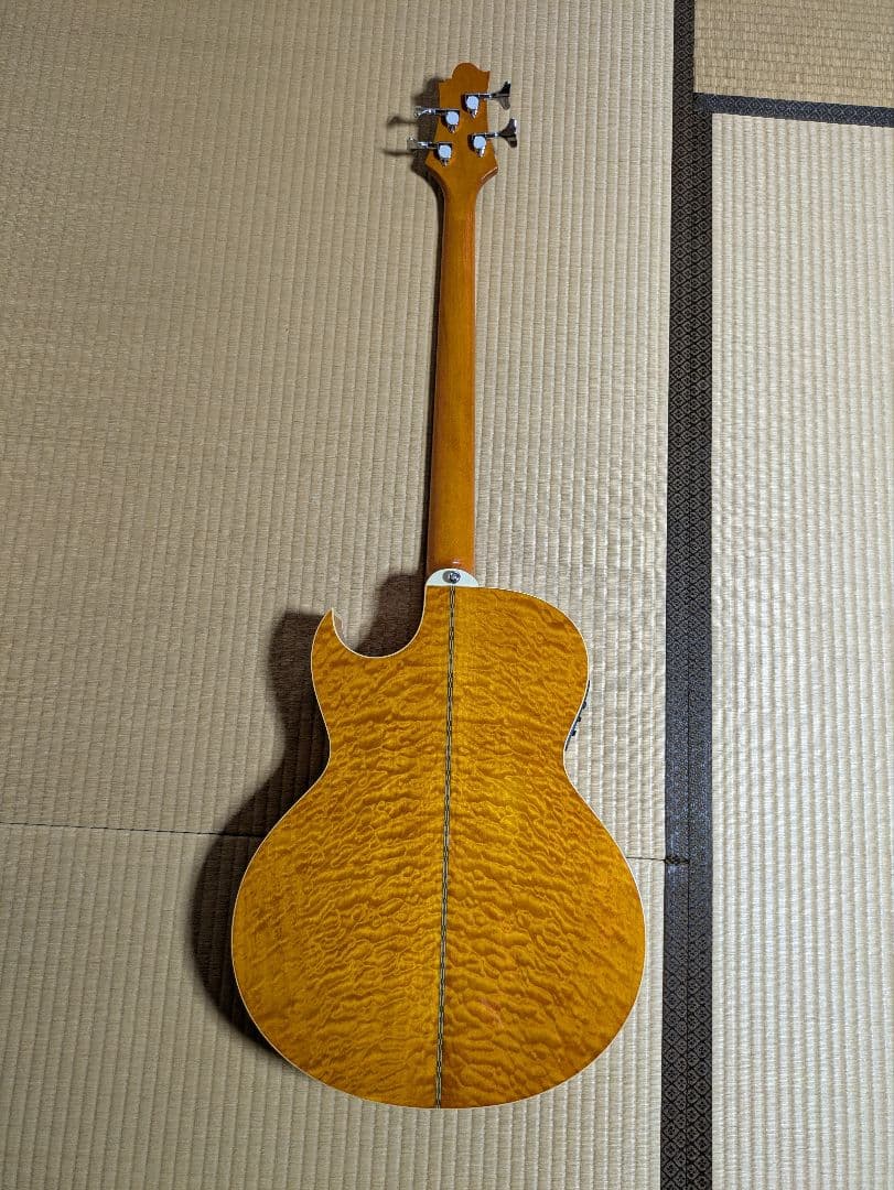 サミック GREG BENNETTデザイン　エレアコベース