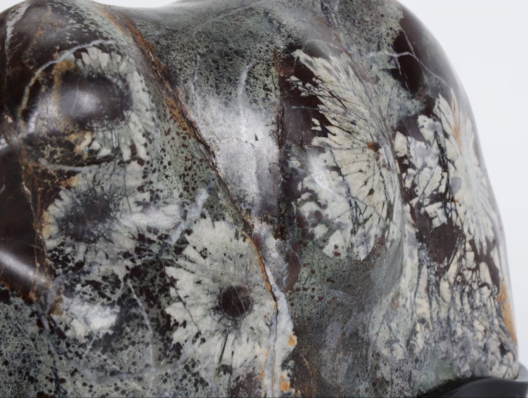 菊花石 紋石 6kg 台座付 鑑賞石 原石 自然石 美石 水石 盆石 飾石 磨石