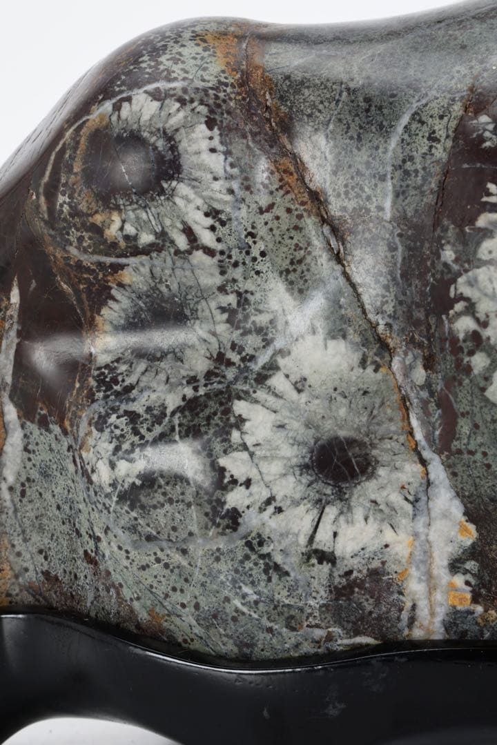 菊花石 紋石 6kg 台座付 鑑賞石 原石 自然石 美石 水石 盆石 飾石 磨石