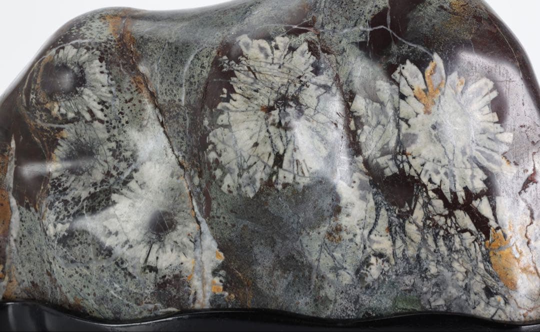 菊花石 紋石 6kg 台座付 鑑賞石 原石 自然石 美石 水石 盆石 飾石 磨石