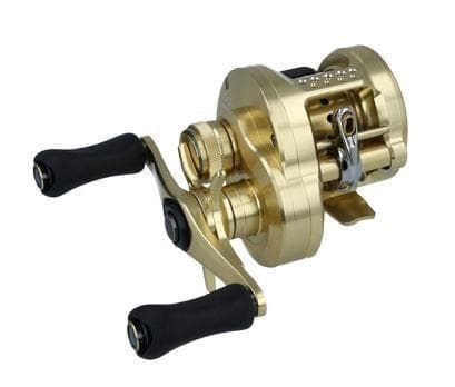 色事前問い合わせ　 21CNQ18R/36R　24カルカッタコンクエスト