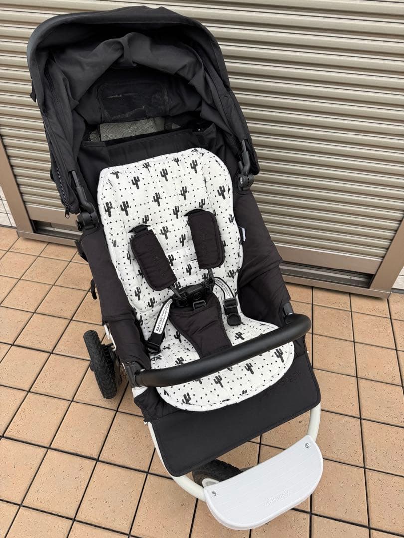 エアバギー　air buggy coco 代官山限定カラー