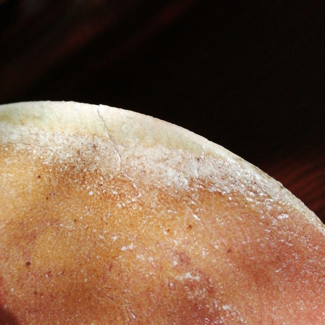 信楽焼　杉本貞光　寺垣外窯　信楽薄手皿　17cm　【1枚割れアリ】