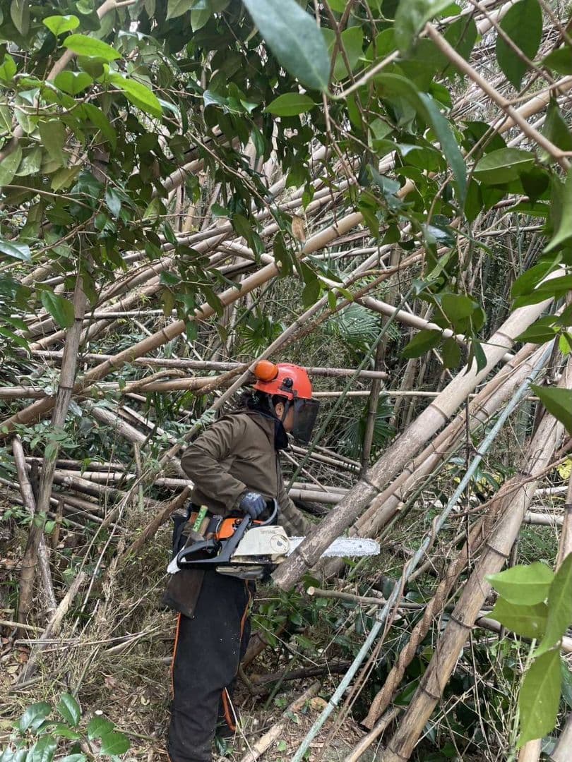 30kg米袋入り竹炭3袋(小粒)(粉ふるい済み)(約120リットル)　大阪産