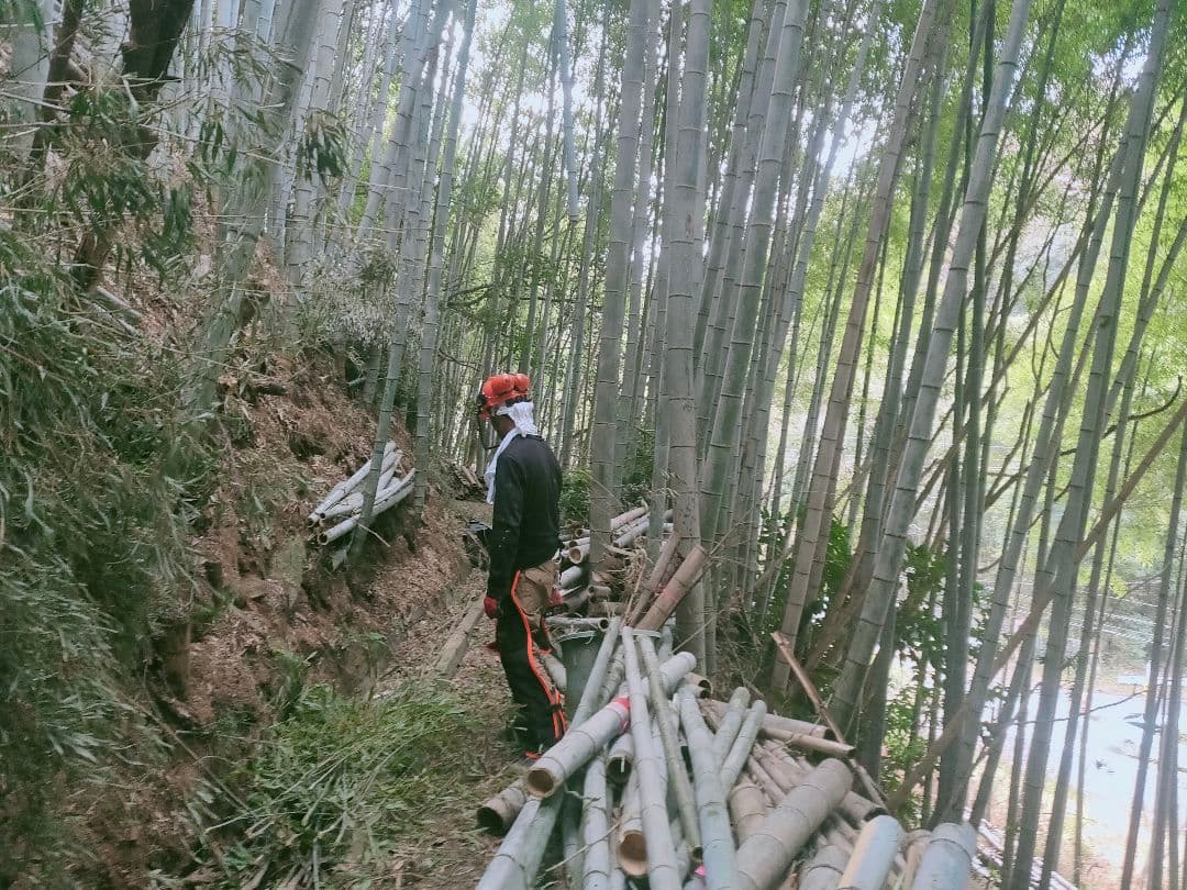 30kg米袋入り竹炭3袋(小粒)(粉ふるい済み)(約120リットル)　大阪産