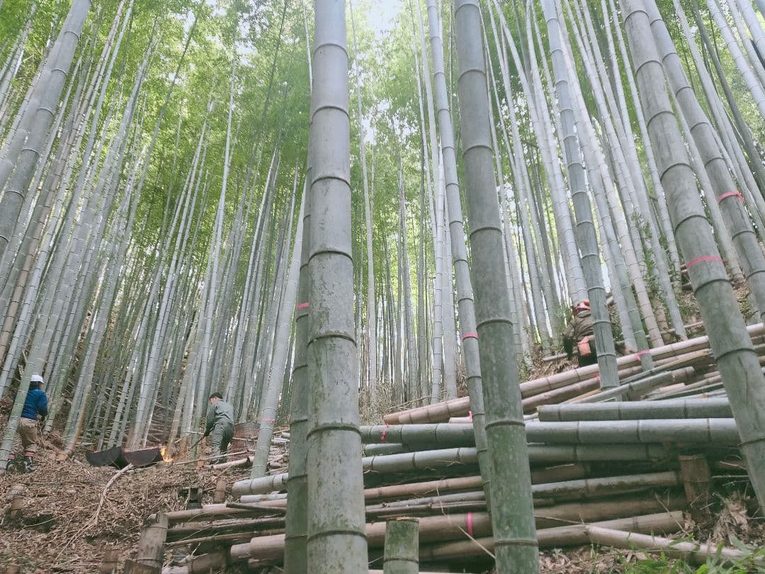 30kg米袋入り竹炭3袋(小粒)(粉ふるい済み)(約120リットル)　大阪産