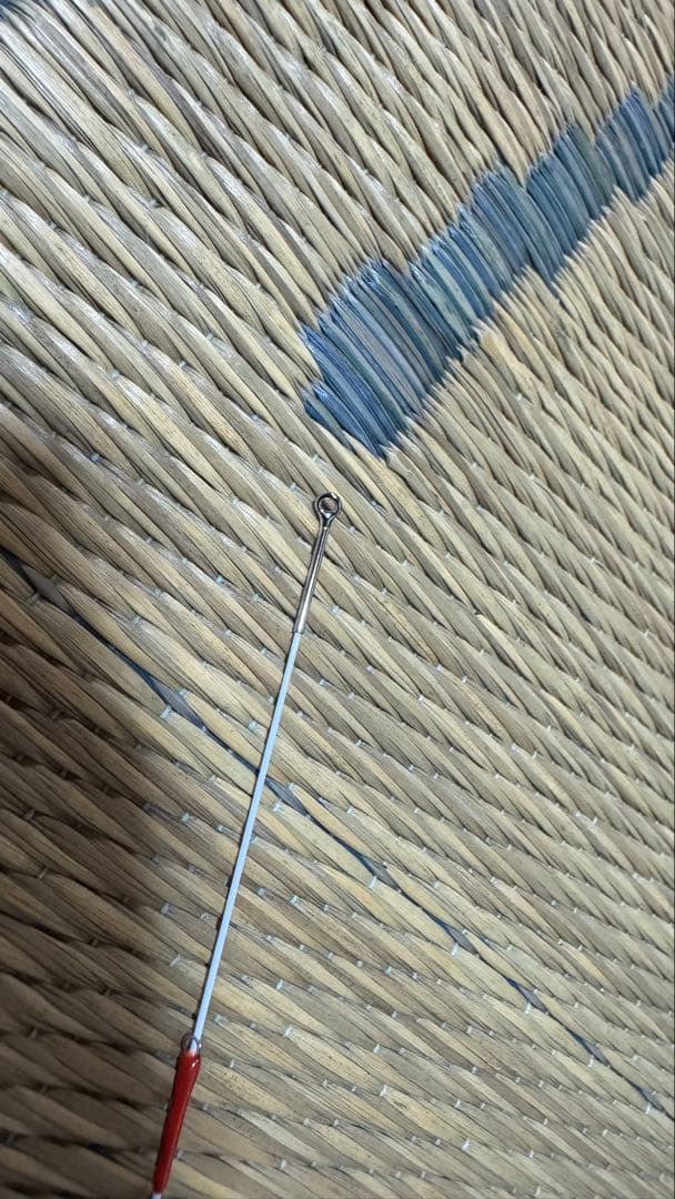 飛竜クロダイ　M-53UM ダイワ 前打ち竿　落とし込み　ヘチ釣り