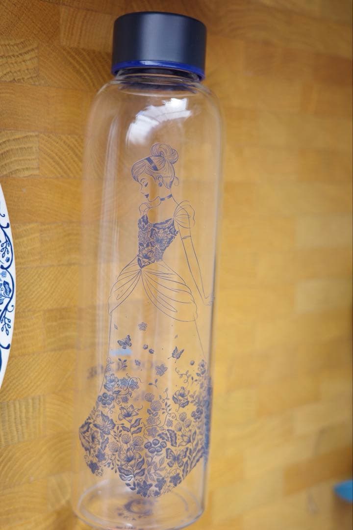 【WDW 購入品】ディズニー　シンデレラ　5点