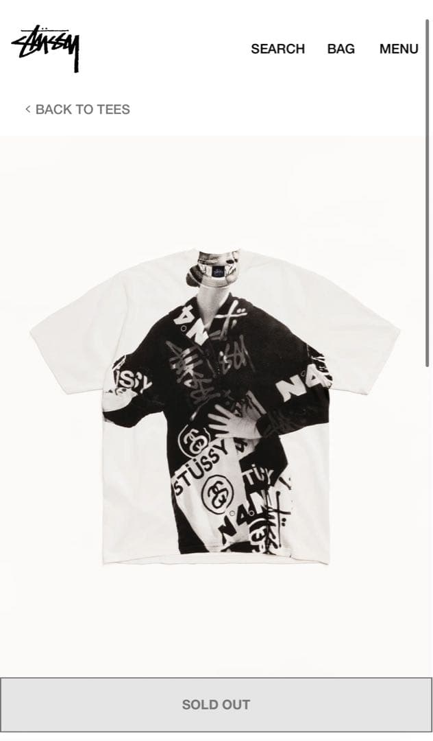 トップス stussy paris tee