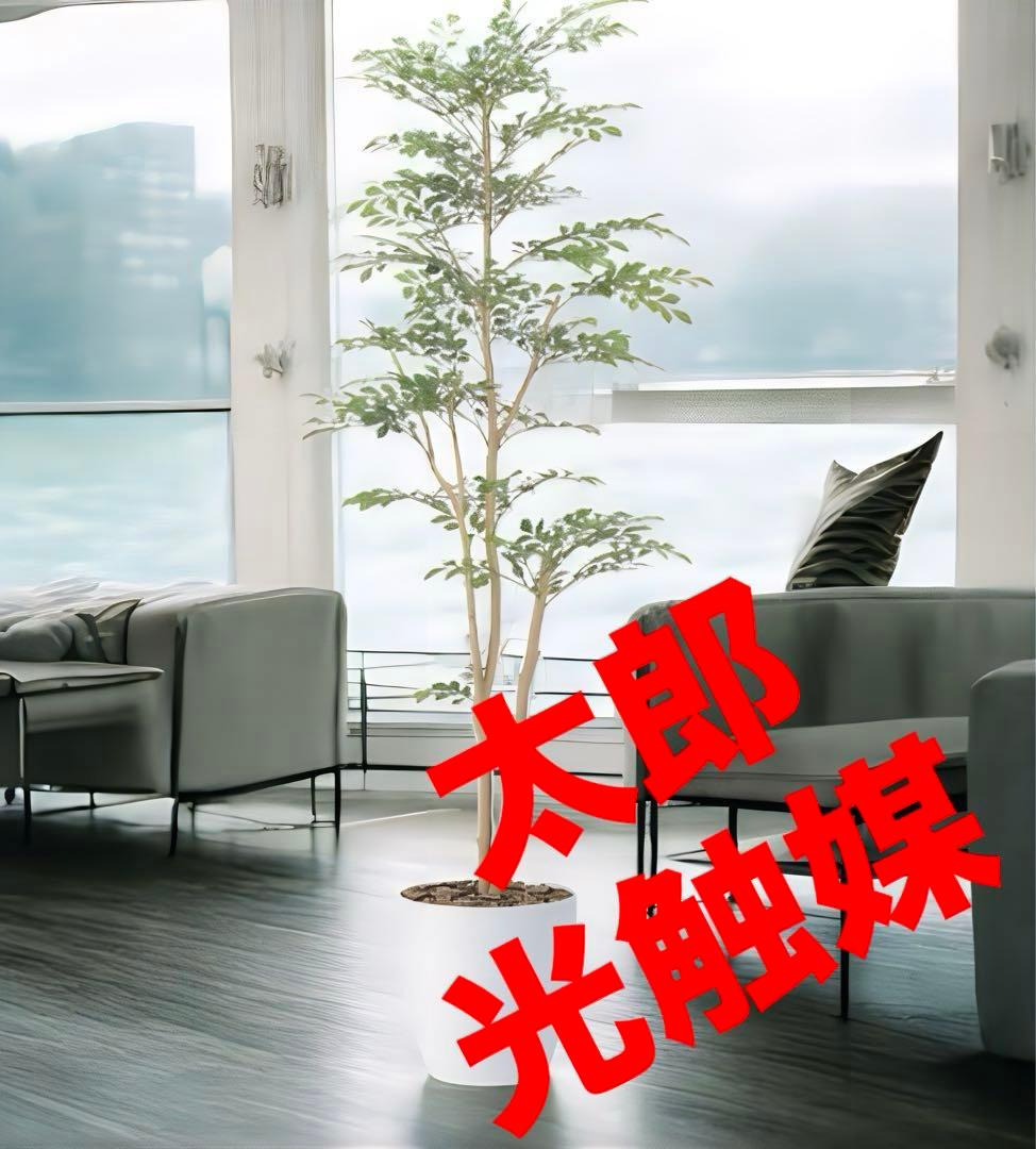 光触媒　人工観葉植物　ウォールグリーン　フェイクグリーン　トネリコ1.8@ad