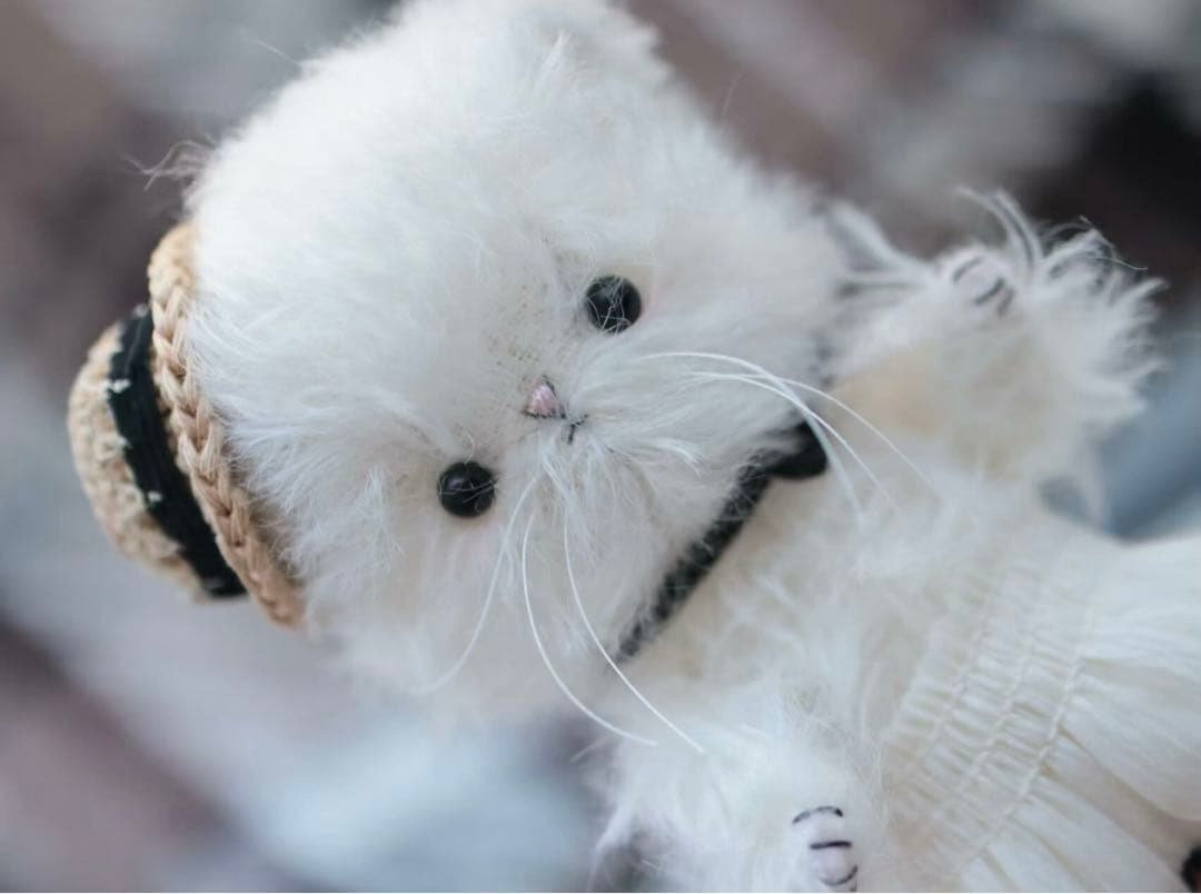 白い猫ちゃん アーティストベア 海外作家様 ハンドメイド ぬいぐるみ 置物