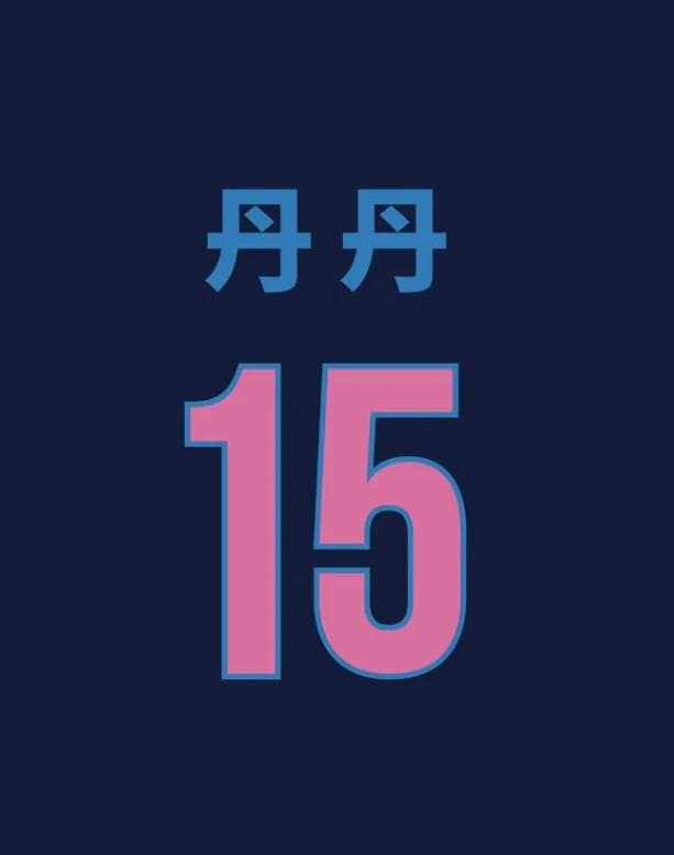 2026　WBC　15　丹丹　だんだん　応援　Tシャツ　ネイビー