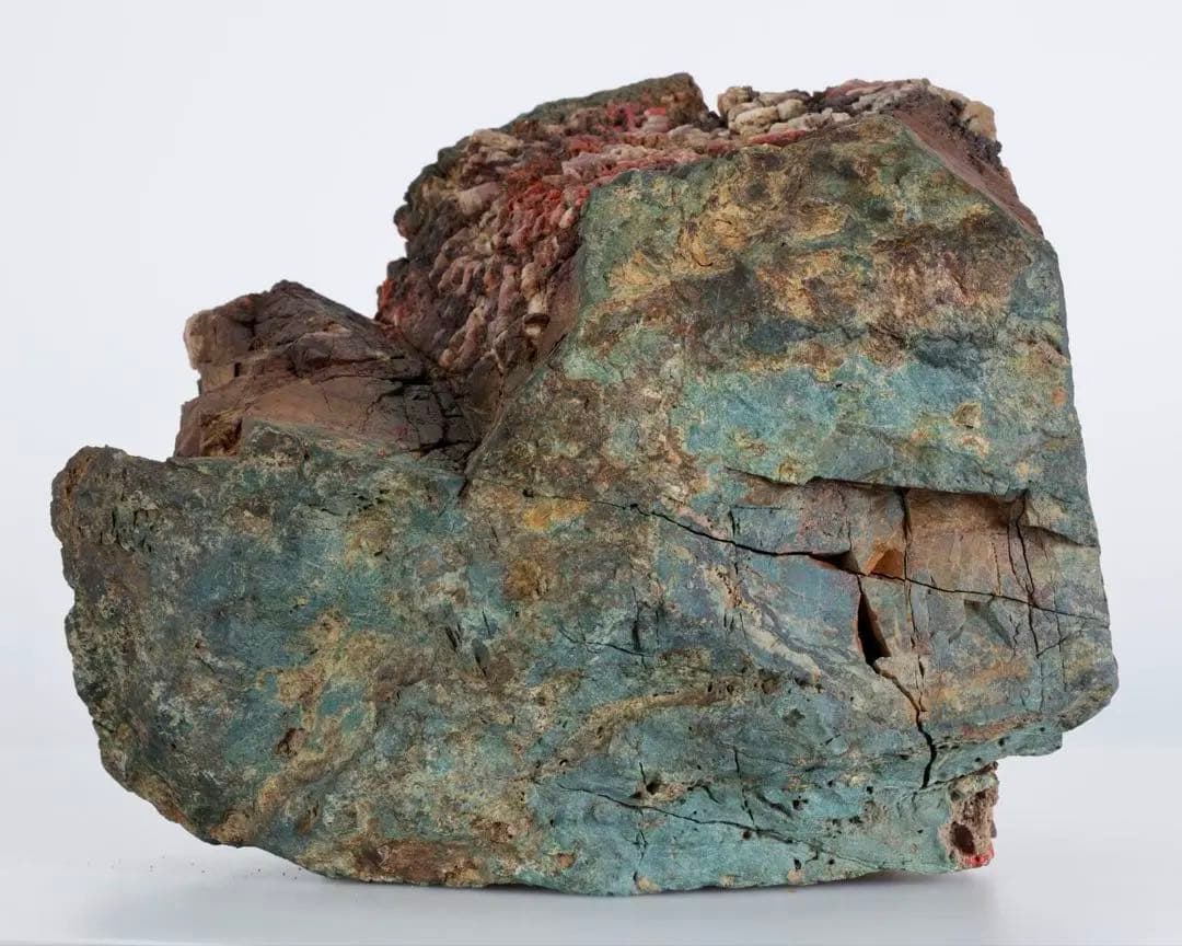 天覧 天然菊花石 大輪 6.5kg 台座付 鑑賞石 盆石 水石 自然石 美石