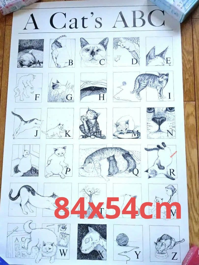 A Dog's /A Cat's イラスト大判ABCポスター 2枚/円筒容器