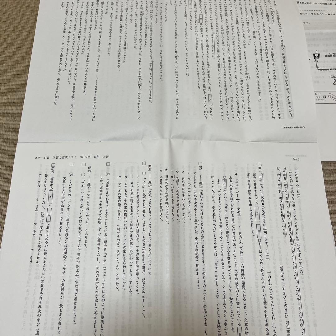 2025年 日能研 5年 ステージⅢ 育成テスト