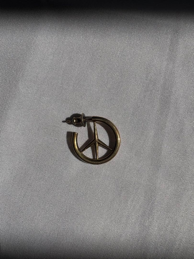 キャリアリング　野村訓市　片耳　ピアス　21