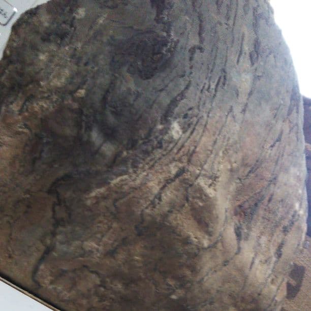 さざれ石。蛇石。