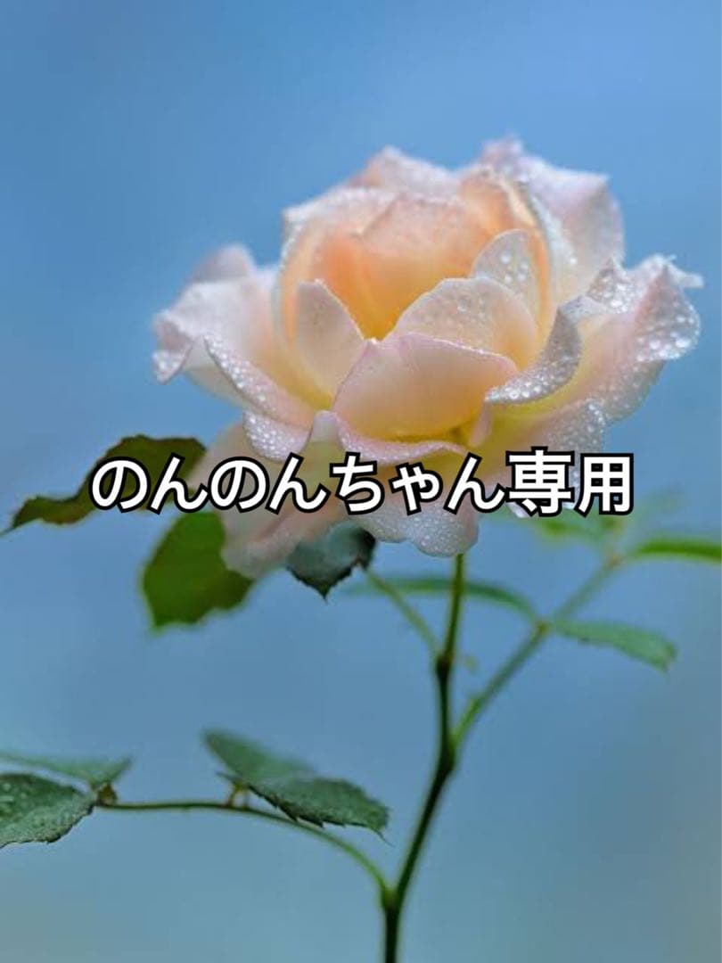 のんのんちゃん専用