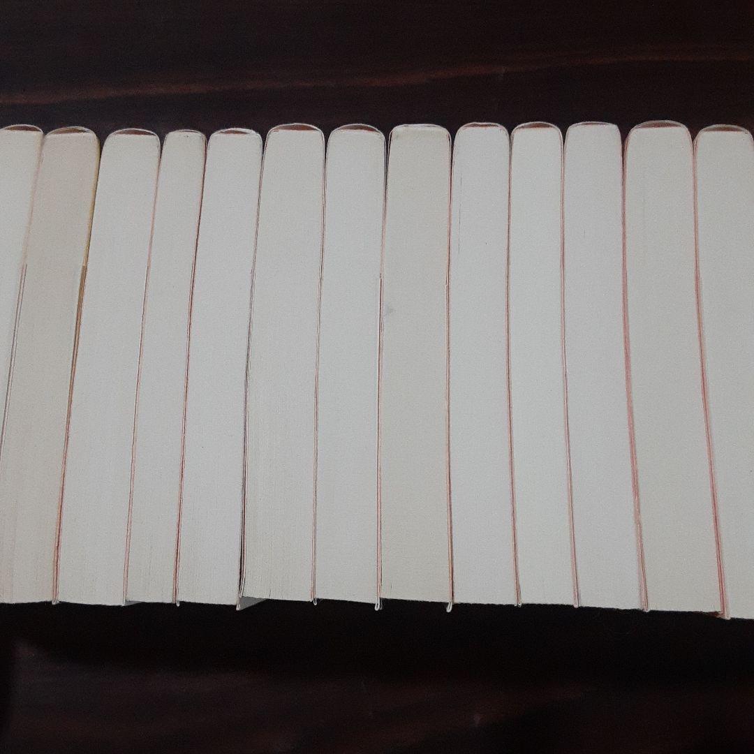 ON 猟奇犯罪捜査班・藤堂比奈子　等　内藤了 作品　29冊セット