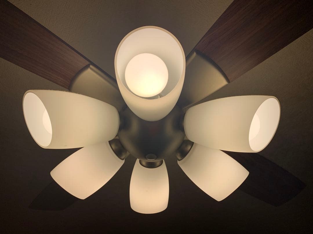 ダイコー シーリングファンライト CCF-111S