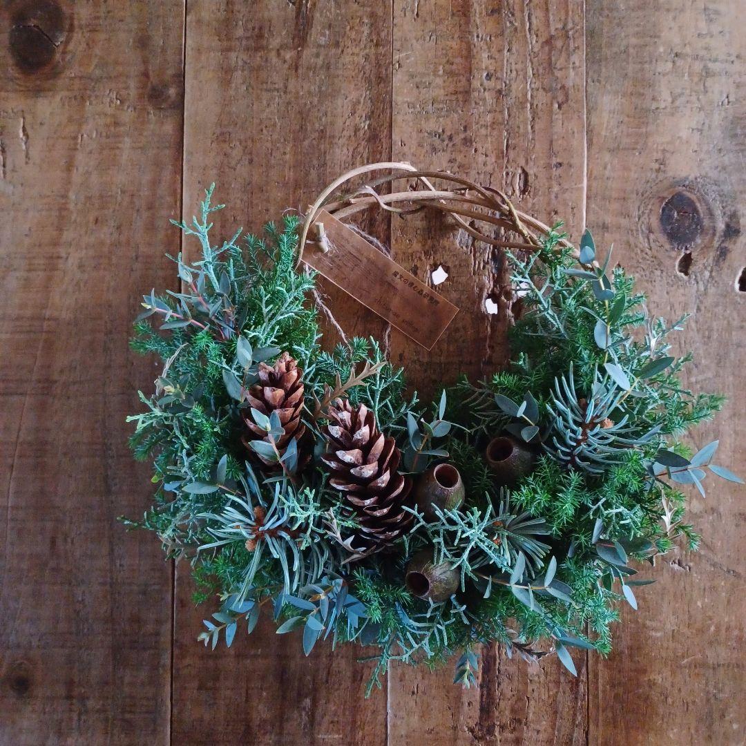 新品 未使用 ドライフラワー ハーフリース 木の実 針葉樹 インテリア 壁飾り