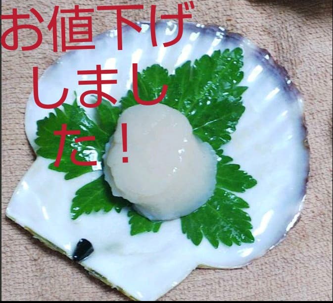 お皿に☆天然ホタテ貝殻 2枚 夏休み工作