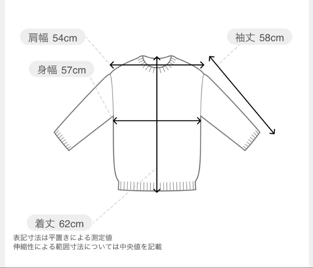 【新品タグ付き】 FRAMeWORK AQUA タートルプルオーバー 25AW