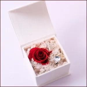 プリザーブドフラワーリングケース レッド
