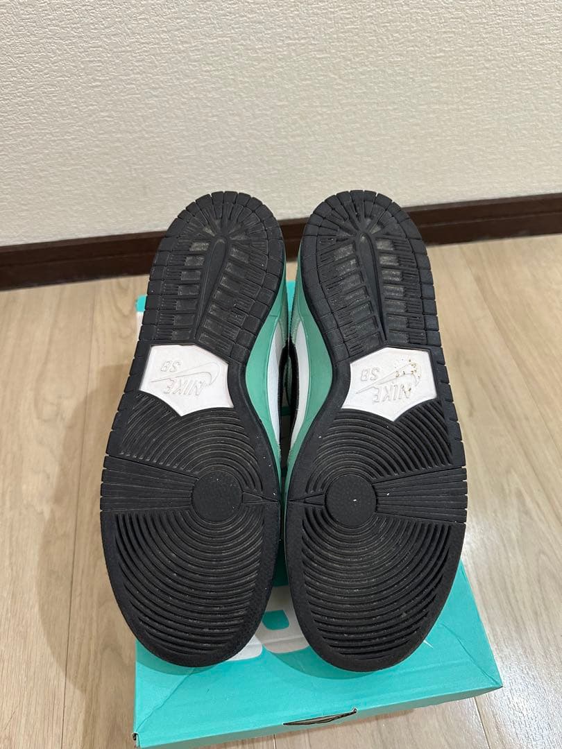 Nike SB Dunk Low Pro Sea Crystal シークリスタル